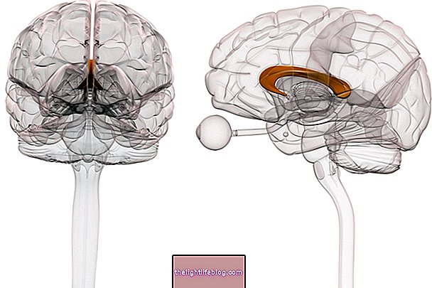 Mikä on corpus callosumin ageneesi ja miten hoito tapahtuu