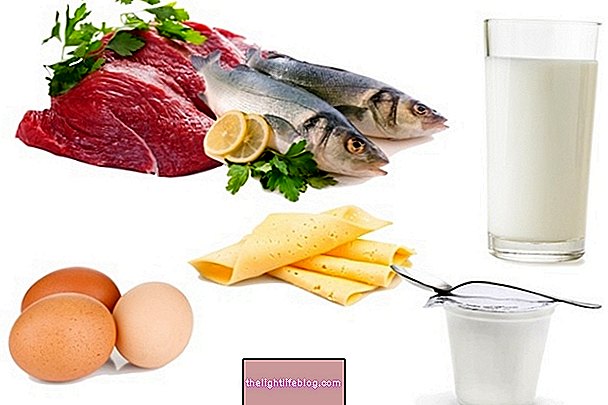 Продукты, богатые аланином