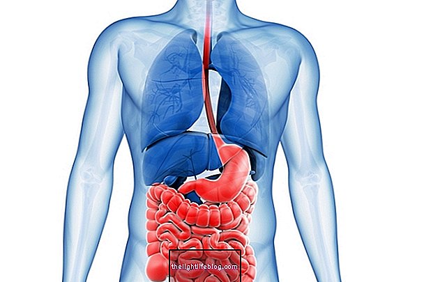 Treatment for Short Bowel Syndrome