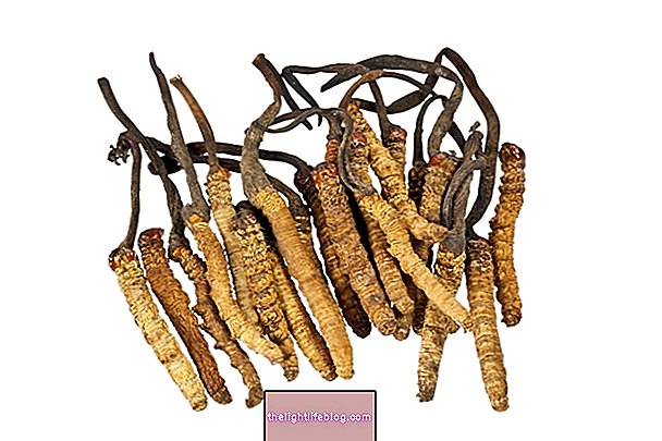 7 Beneficii ale Cordyceps