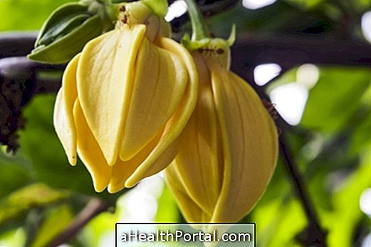 Benefici di ylang ylang