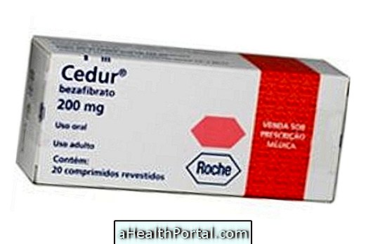 Bezafibrate (Cedur)