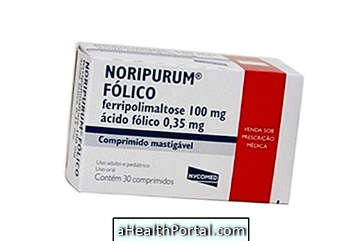 Apa Folic Noripurum Digunakan untuk dan Bagaimana Mengambil