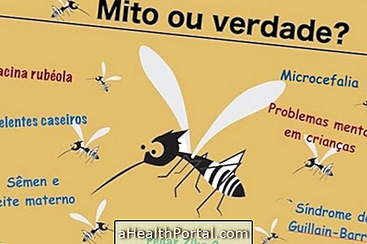 Όλα όσα χρειάζεται να γνωρίζετε για το Zika