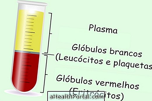 Kan bileşenleri ve işlevleri