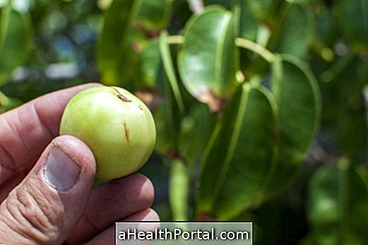 Bagaimana untuk Melindungi diri anda dari Pokok Kematian