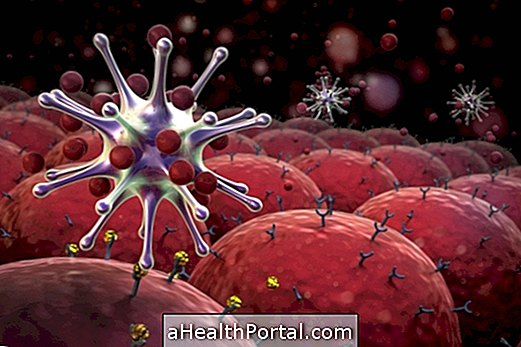 เซลล์ dendritic ทำหน้าที่อะไรและทำอย่างไร