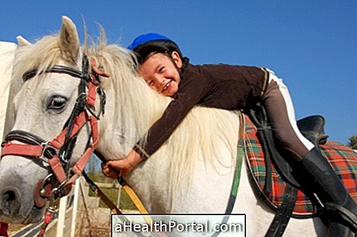 Equine therapy: what it is and benefits