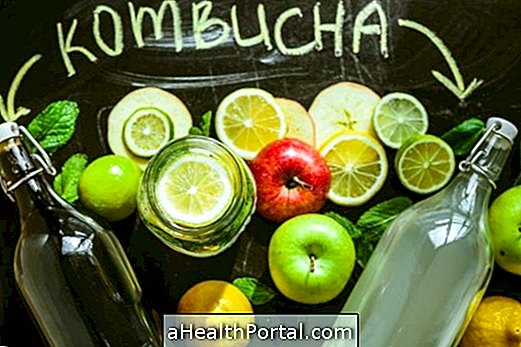 מה זה Kombucha ואת היתרונות שלה