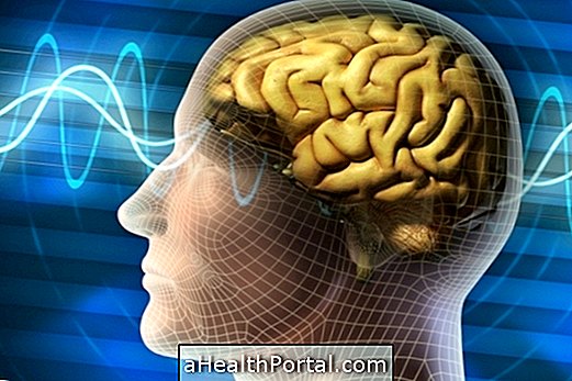 Magnesium meningkatkan fungsi otak