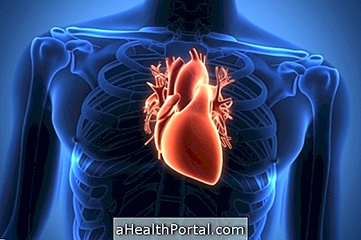 Bradycardia sinusale: che cosa è, i sintomi principali e come si fa il trattamento