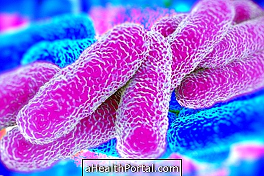 KPC Superbacterium - Contagion, Symptoms, Cure and Treatment