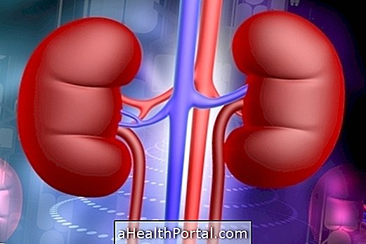 عدوى الكلى: الأعراض الرئيسية وكيفية علاجها