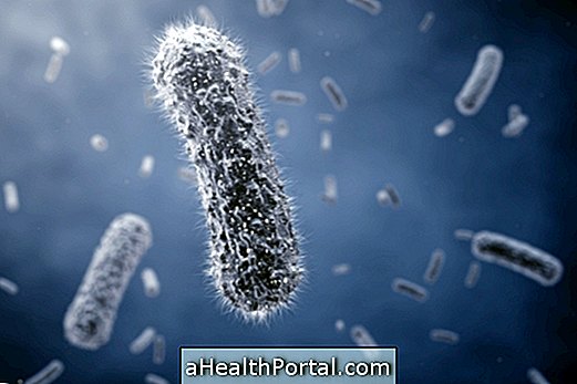 Escherichia coli: oireet, hoito, siirto