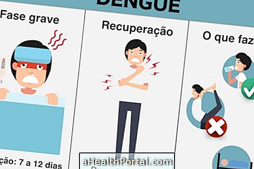 Kuinka palauttaa Dengue, Zika ja Chikungunya nopeammin