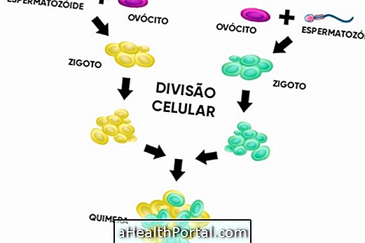 Qu'est ce que le chimérisme et comment l'identifier