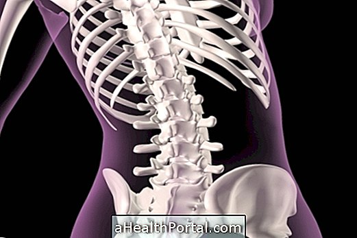 Bone Densitometry : 그것이 무엇이며 어떻게 만들어 졌는가?