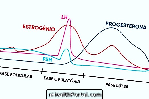 Comprendere il ciclo mestruale