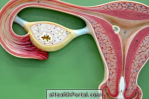 Qu'est-ce que l'ovulation et quand cela se produit?