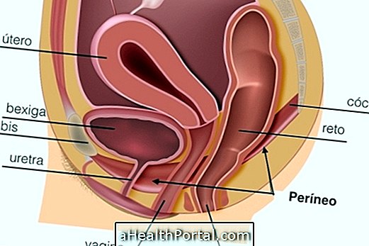 Pelvic Floor Øvelser i Graviditet: Hvordan, når og hvor å gjøre