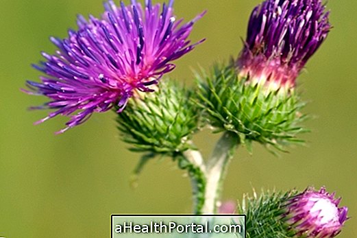 מה Burdock וכיצד להשתמש בו