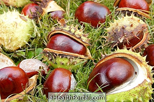 Τι είναι το Chestnut της Ινδίας και πώς να το χρησιμοποιήσετε