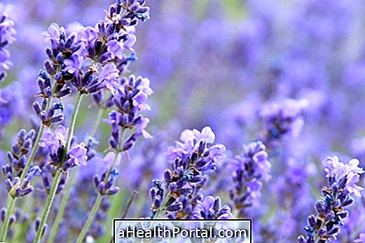 10 benefici di lavanda per la salute