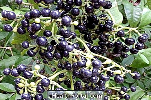 How to Use Insulin Medicinal Plant for Diabetes