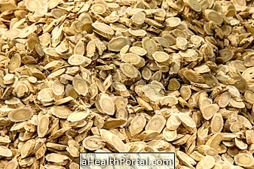 Việc sử dụng astragalus là gì và cách sử dụng