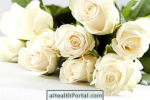 Medicinal Properties of White Rose