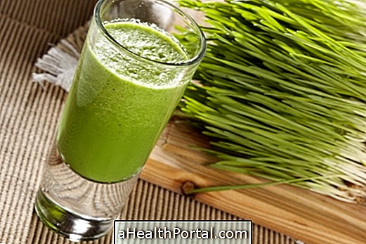 Wheat grass: benefits and how to consume